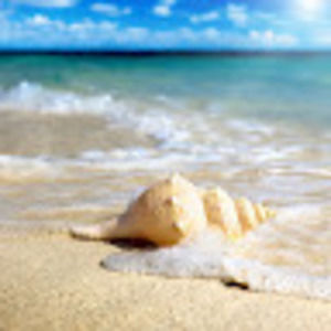 Meet your Posher, Benjamin